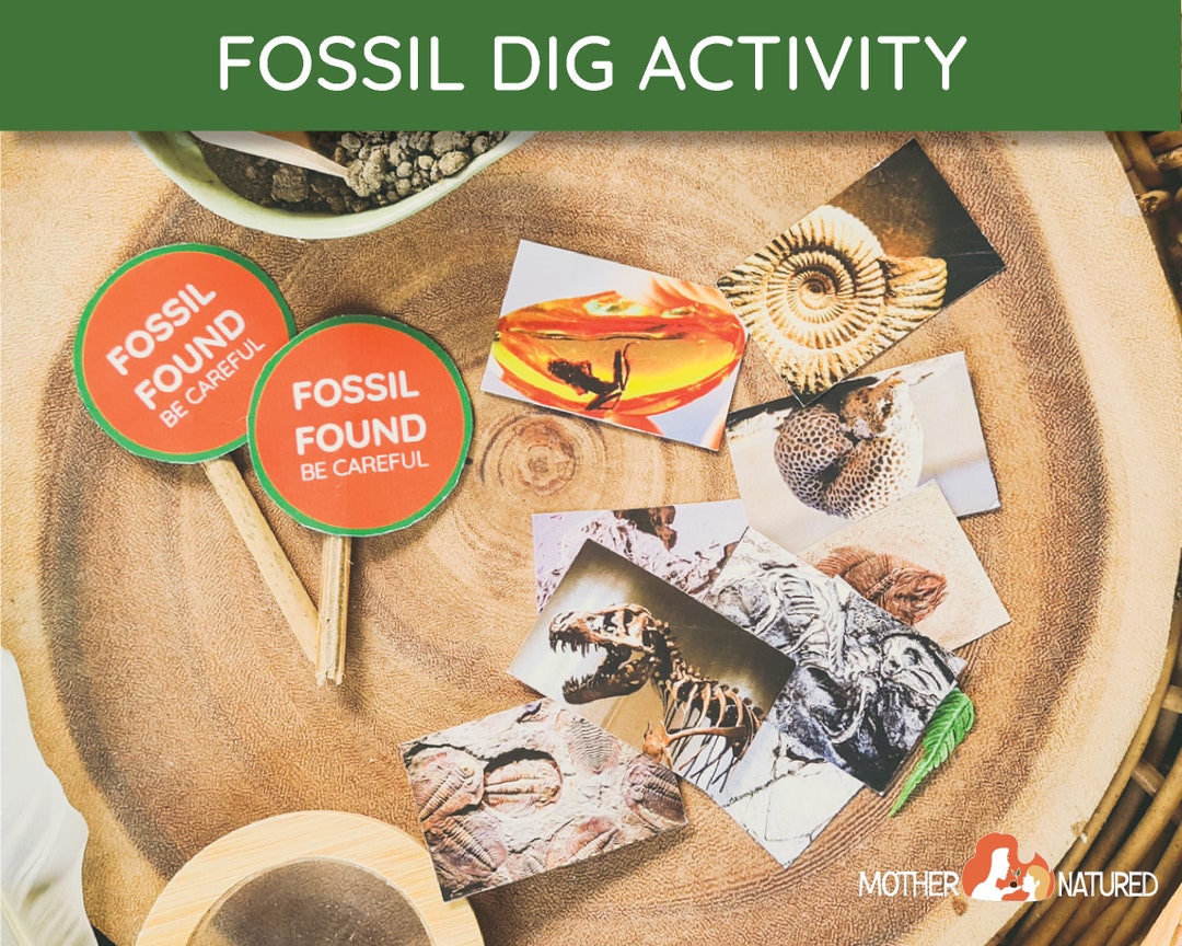 FOSSIL DIG GAME Dig up Fossils Activity Excavate Fossils Etsy