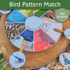 Bird Matching Activity | Bird Game |  Pattern Activity | Preschool Activity  | Kindergarten Activity | Bird Pattern Game | Bird printable