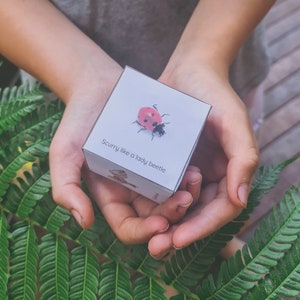 May include: A white card with a red ladybug on it. The card says "Scurry like a lady beetle".