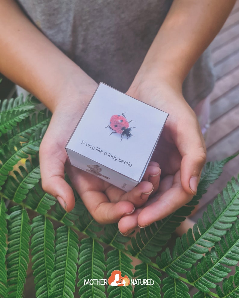 May include: A white card with a red ladybug on it. The card says "Scurry like a lady beetle".