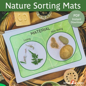 Tappetini di smistamento per bambini / Classificazione degli stampabili naturali / Ordinamento di materiali naturali / Attività di smistamento prescolare / Foglio di lavoro di smistamento /