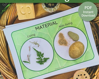 Sorteringsmattor för barn | Utskrivbara klassificeringsmaterial om naturen | Sortera naturmaterial | Sorteringsaktivitet förskola | Sorteringsarbetsblad |