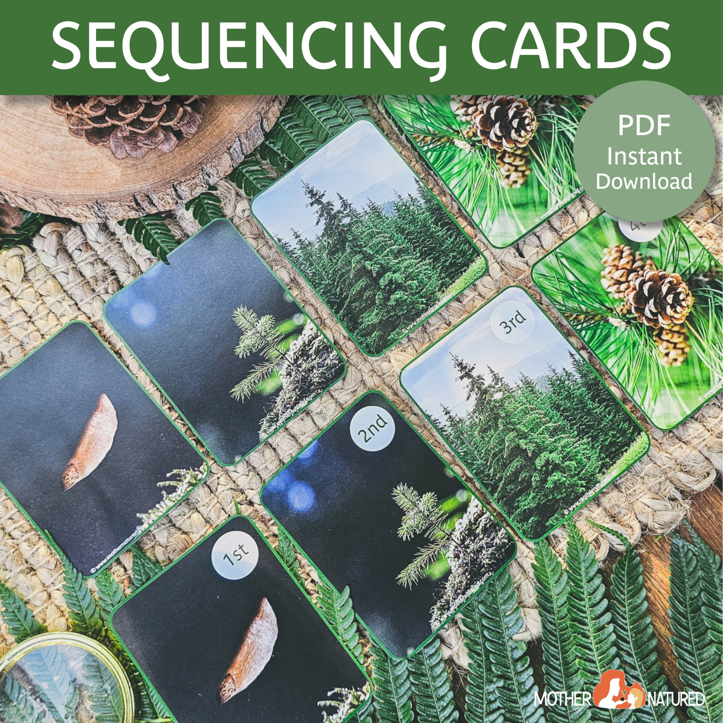 Life Cycle Sequencing Cards | Nature Sequence Activity | Wildlife ...
