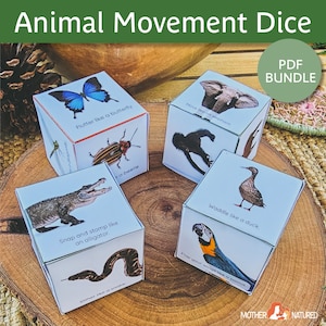 動物の動きのアクティビティ | 動物の分類アクティビティ | 子供向けの動物アクティビティ | 動物の動きのサイコロ | 動物の分類ゲーム