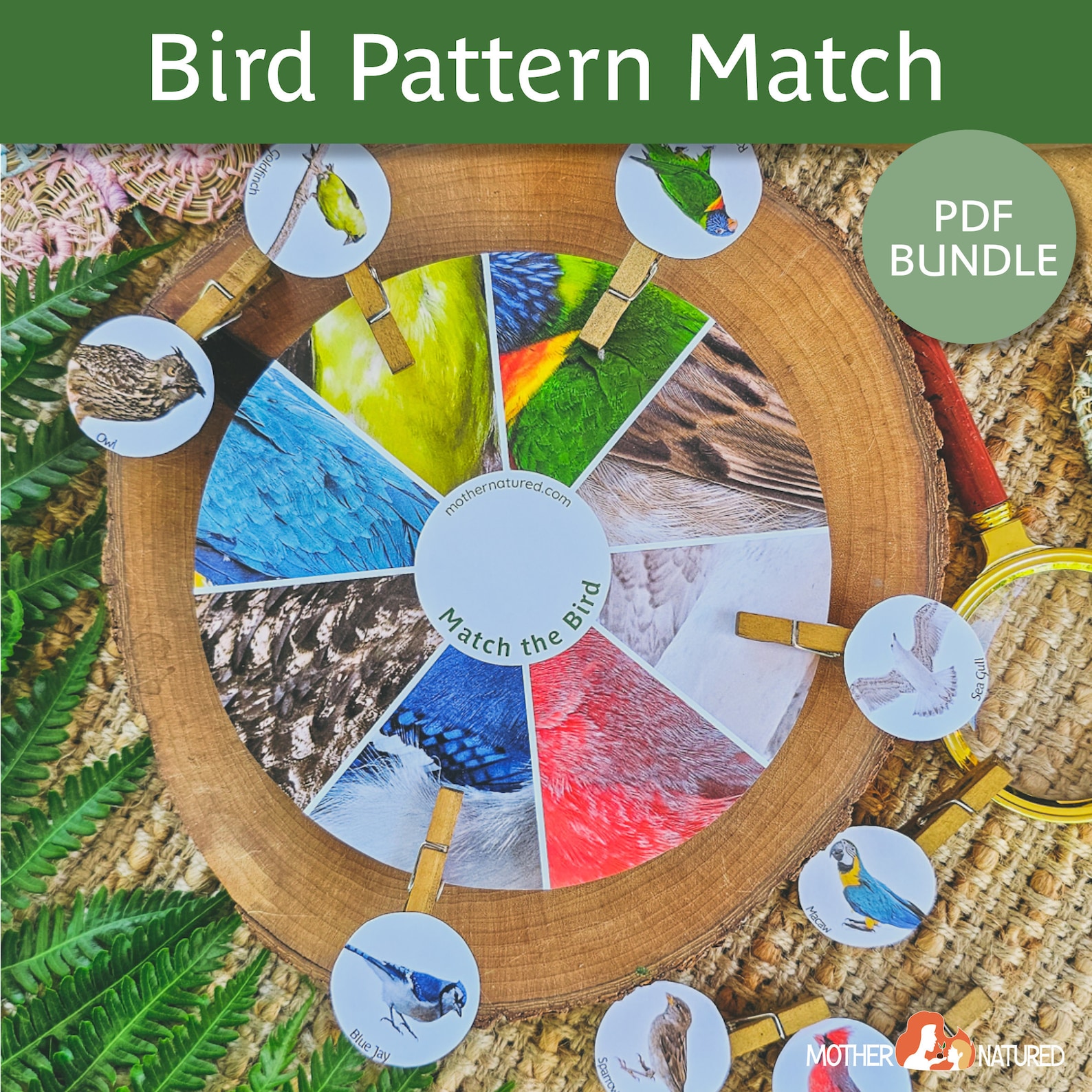 Bird Matching Activity | Bird Game | Pattern Activity | Preschool ...