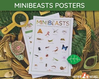 Types of Minibeasts Posters | Minibeast Posters | Minibeast Study | Minibeast classroom poster