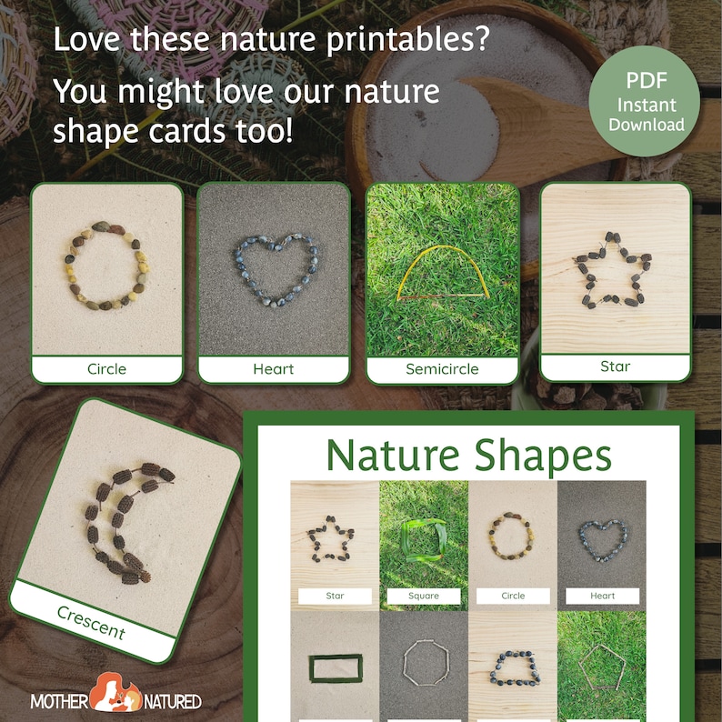 May include: A printable set of nature shape cards featuring different shapes made from natural materials like seeds, leaves, and twigs. The shapes include a circle, heart, semicircle, star, crescent, square, and rectangle.