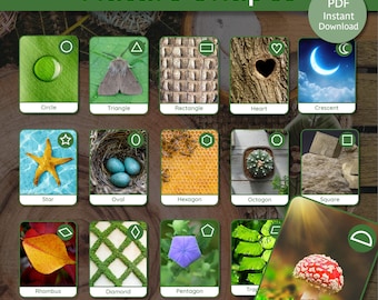Poster et cartes Formes de la nature | La nature façonne la maternelle | Activités sur les formes de la nature | Imprimables formes de la nature | Formes Montessori