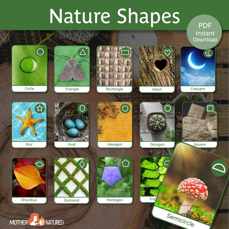 May include: A set of 12 flashcards featuring different shapes found in nature. Each card has a picture of a natural object, such as a leaf, a honeycomb, or a star, and the name of the shape is printed below the picture. The cards are designed to help children learn about shapes and their names.