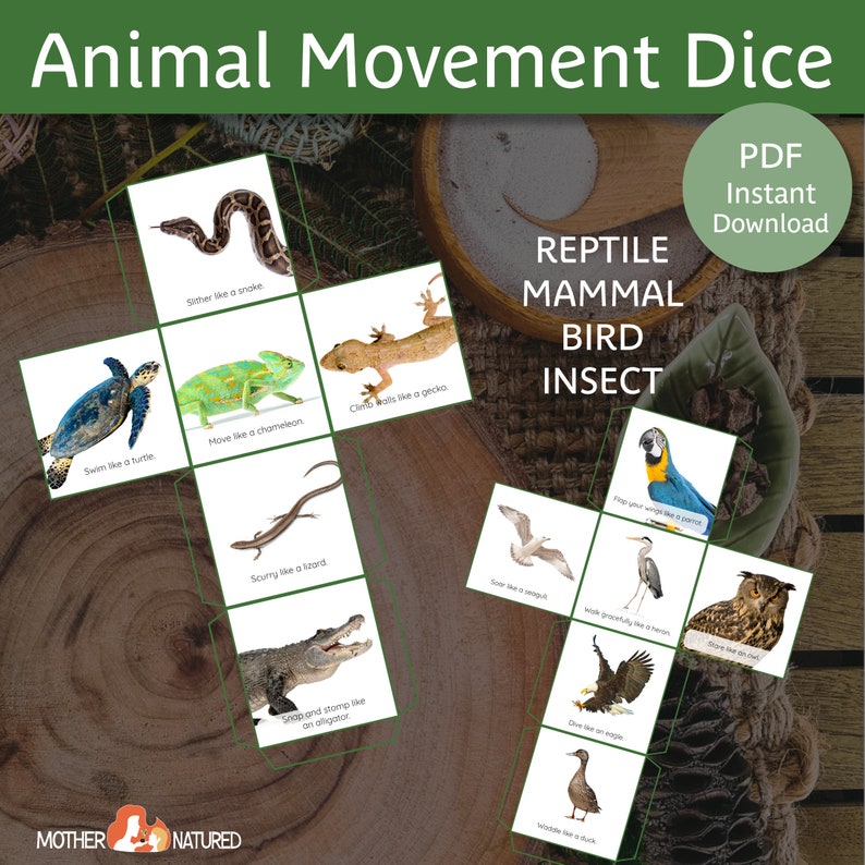 Puede incluir: Un juego de dados de movimiento de animales imprimible con im&aacute;genes de una serpiente, una tortuga, un camale&oacute;n, un gecko, un lagarto, un caim&aacute;n, un loro, una gaviota, una garza, un b&uacute;ho, un &aacute;guila y un pato. El dado est&aacute; etiquetado con las categor&iacute;as: Reptil, Mam&iacute;fero, Ave, Insecto.