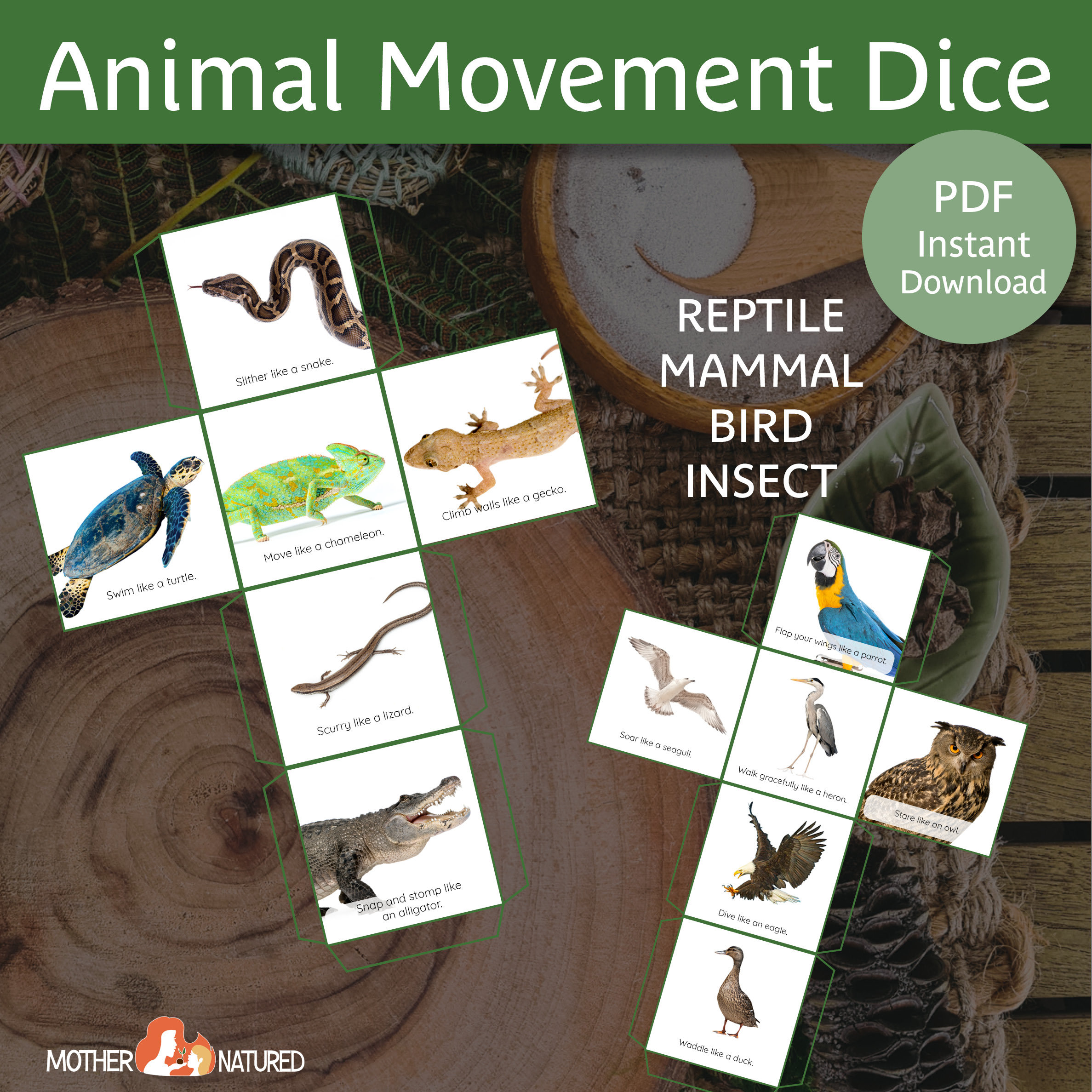 Animal Movement Activity | Animal Classification Activity | Animal ...