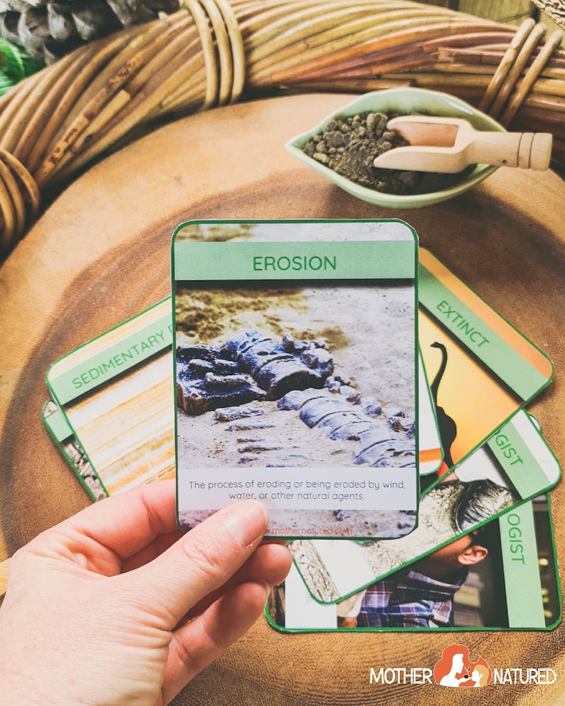 FOSSIL CARDS Fossil Job Cards Types of Fossils Cards Etsy