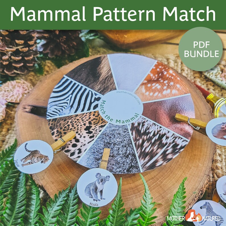 Op de afbeelding: Een houten cirkel met acht verschillende dierenvachtpatronen, waaronder zebra, luipaard en koala. De cirkel is gelabeld met "Match the Mammal" en is omgeven door groen gebladerte. Er zijn ook kleine cirkels met dierenfoto's, zoals een koala en een jaguar.