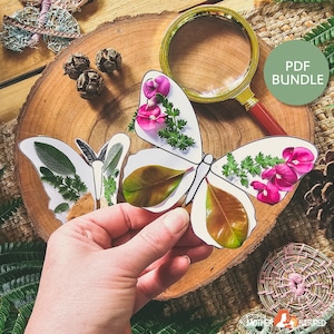 Puede incluir: Un paquete de plantillas de mariposas imprimibles en PDF para que los niños las decoren con materiales naturales como hojas y flores. La imagen muestra una mariposa terminada con flores rosas, hojas verdes y hojas marrones.