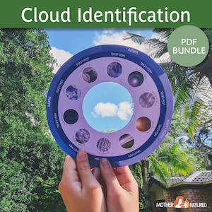 Visualizador de nuvem | Visualizador de identificação em nuvem | Tipos de nuvens | Estudo de Nuvem | Estudo Meteorológico | Montessori para impressão na nuvem