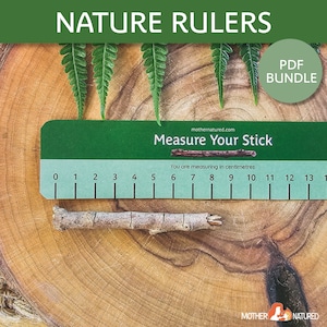 May include: A green ruler with the text "Measure Your Stick" and the numbers 0 to 13 printed on it. The ruler is on a wooden surface with a small twig next to it. The text "You are measuring in centimeters" is printed below the ruler.