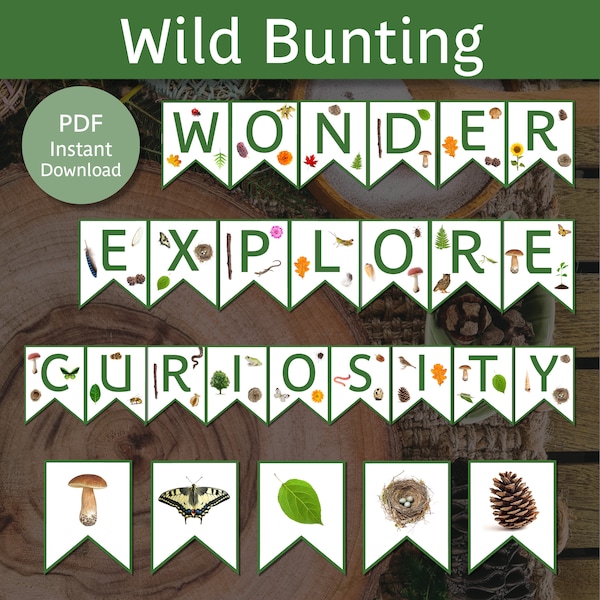 Wonder Curiosity Explorer Bunting | Wonder Curiosity Explorer Garland | Wild Bunting | Wild Garland | Nature Bunting | Nature Garland