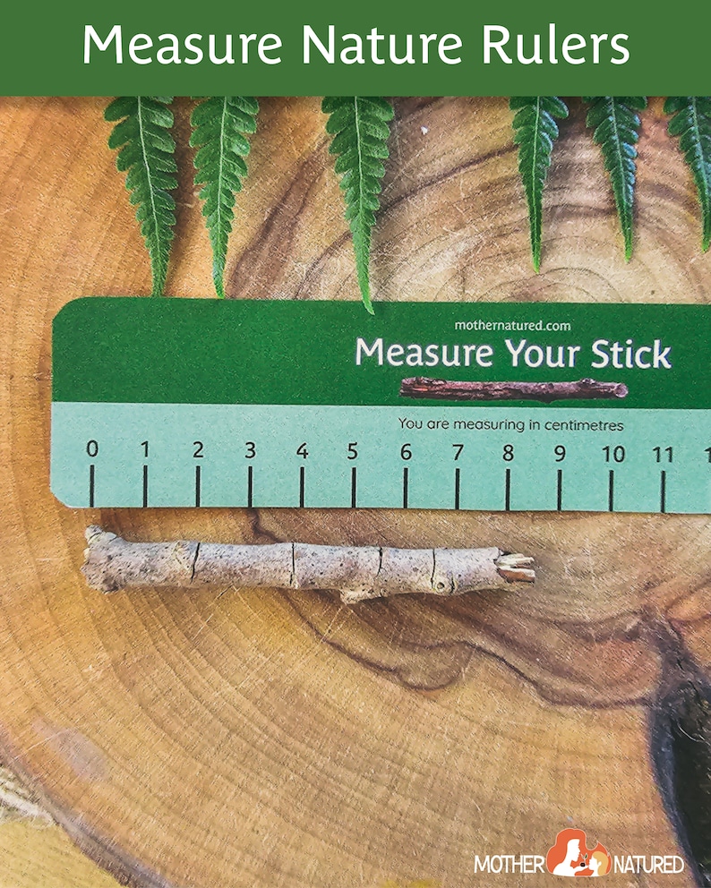 May include: A green and blue ruler with the text "Measure Your Stick" and "You are measuring in centimeters". The ruler is marked with numbers from 0 to 11. A small brown twig is placed on top of the ruler.