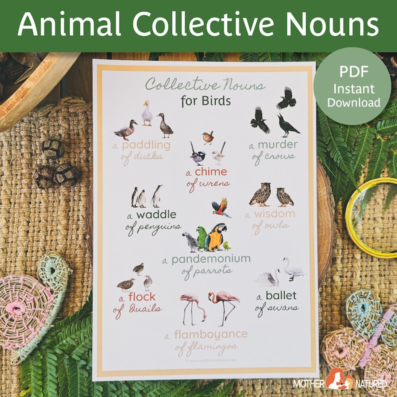 Collective Nouns for Animals | Collective Nouns Poster | Collective ...
