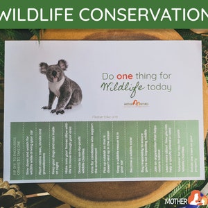 Op de afbeelding: Een afdrukbare checklist met een koala-illustratie en de tekst "Doe vandaag iets voor de natuur". De checklist bevat suggesties om de natuur te helpen, zoals het planten van inheemse bomen, het houden van huisdieren 's nachts binnen en het stemmen op kandidaten die het milieu steunen.