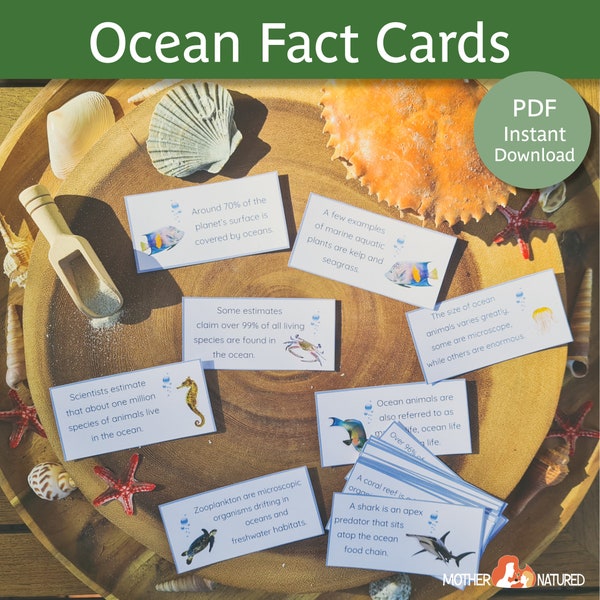 Ocean Fact Cards | Ocean Cards | Ocean Preschool Activity | Ocean theme | Under the Seas Facts