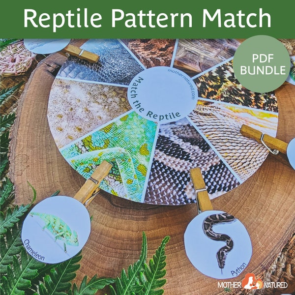 Reptile Matching Activity | Reptile Game |  Pattern Activity | Preschool Activity  | Kindergarten Activity | Reptile Pattern Game |