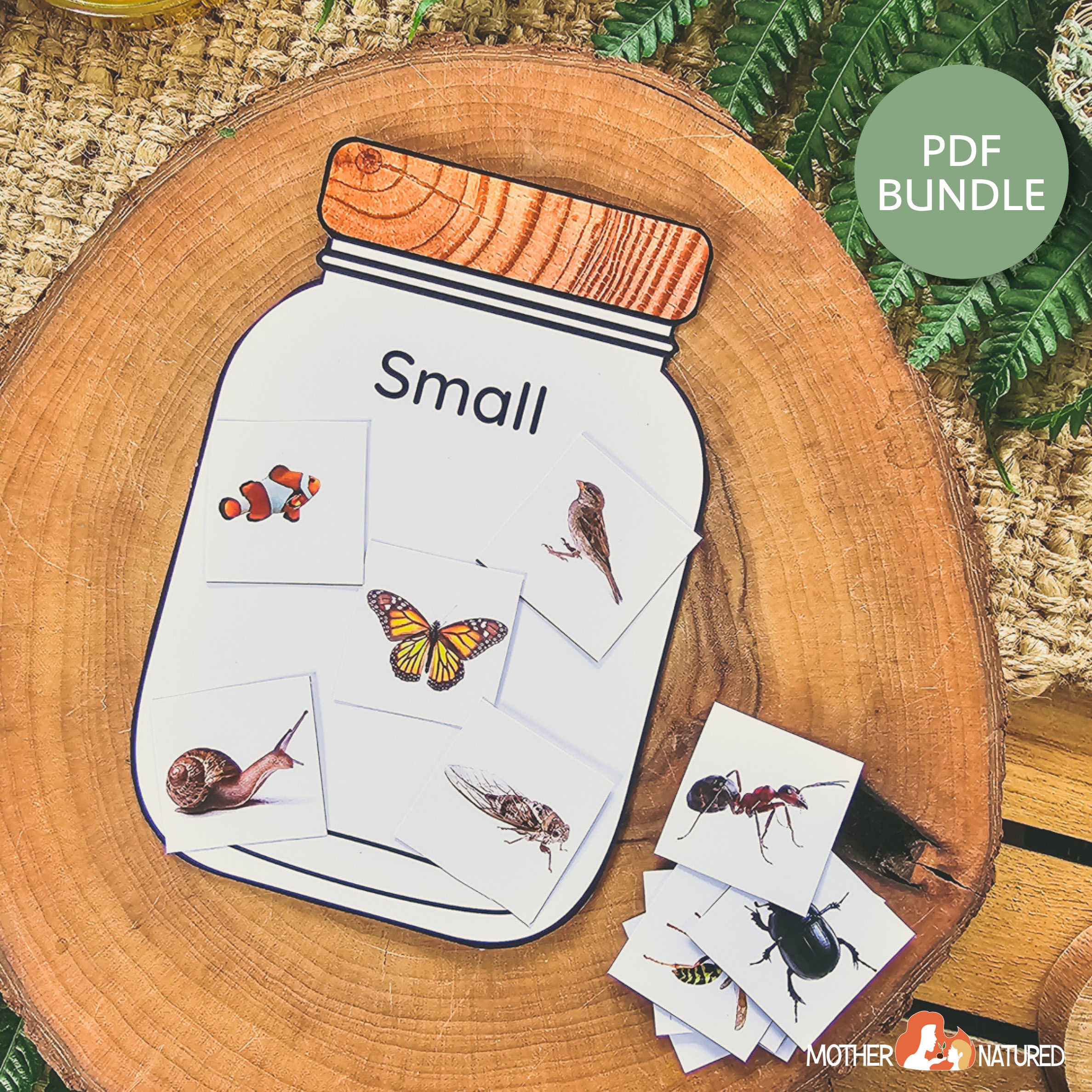 Animal Sorting Activity Nature Sorting Activity Outdoor Etsy Australia
