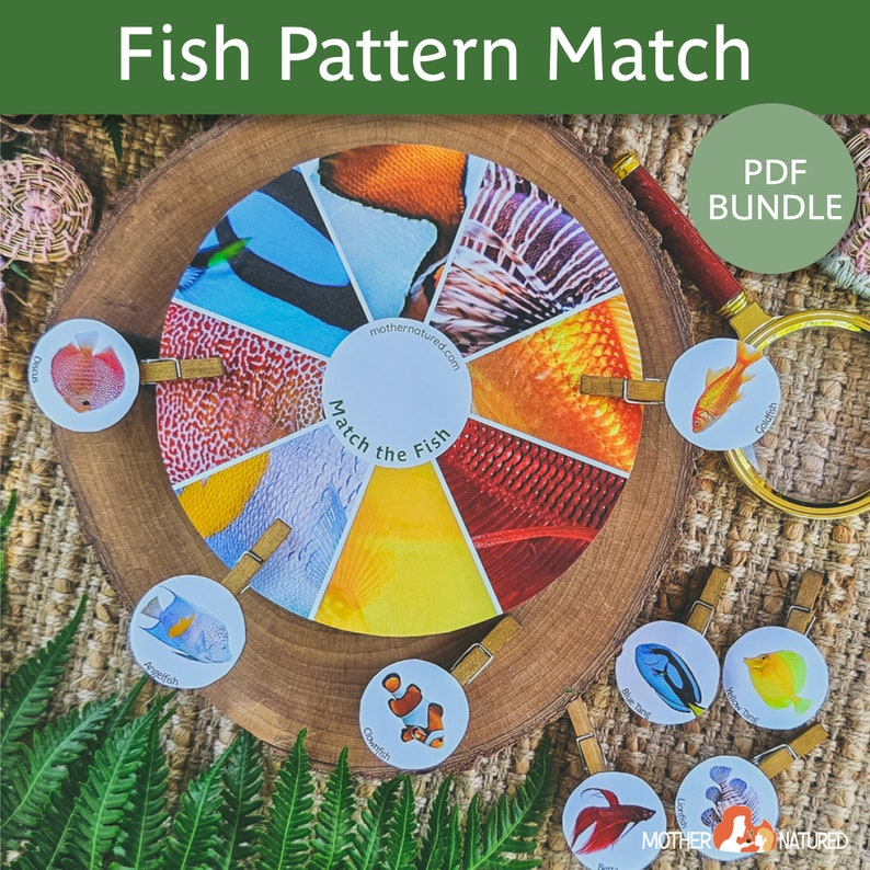 Op de afbeelding: Een kleurrijk vispatroon-matchingspel voor kinderen. Het spel bevat een rond bord met verschillende vispatronen en individuele kaarten met visafbeeldingen. De kaarten kunnen worden gematcht met de overeenkomstige patronen op het bord. Het spel is ontworpen om kinderen te helpen verschillende vissoorten en hun patronen te leren kennen.