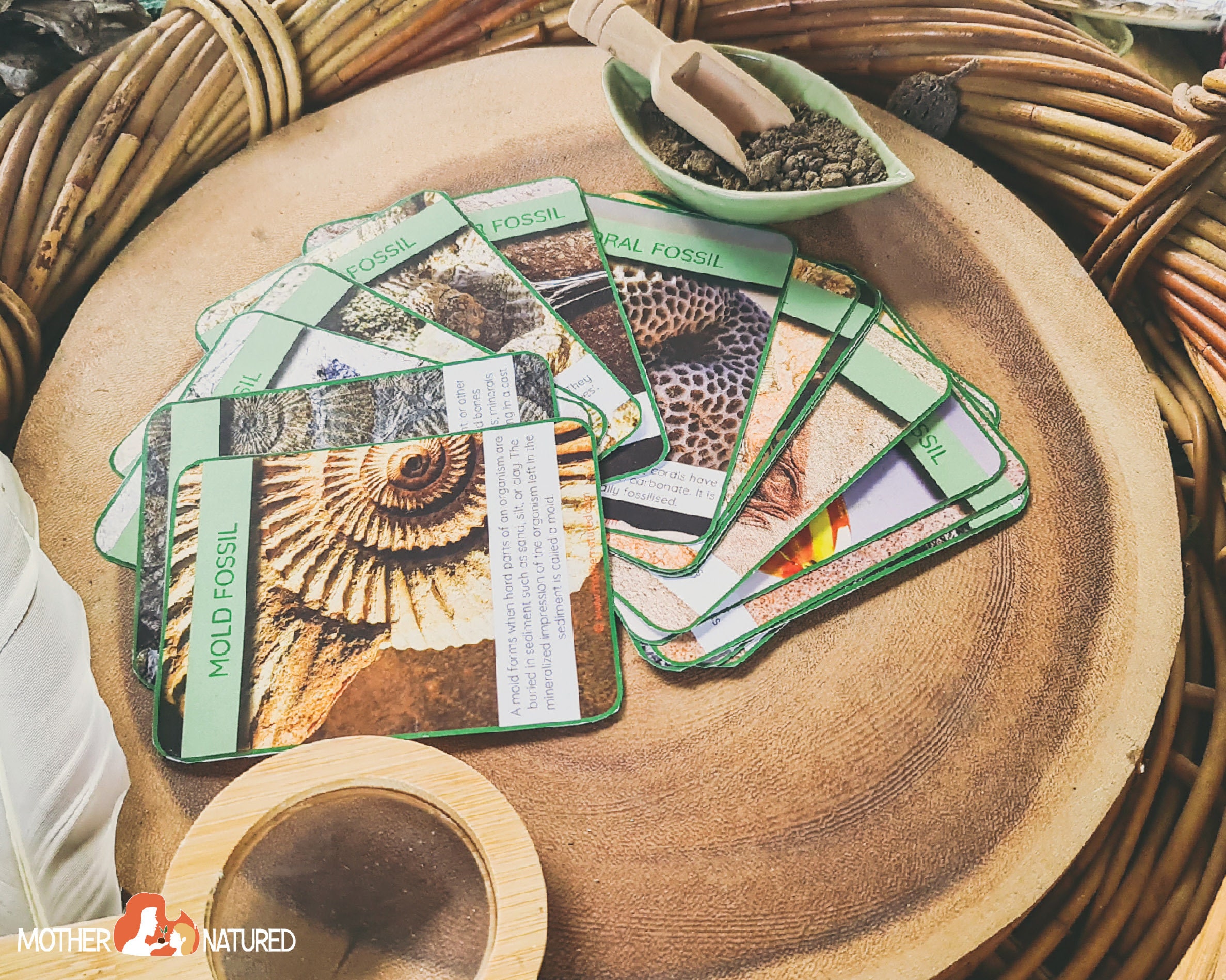 FOSSIL CARDS Fossil Job Cards Types of Fossils Cards Etsy