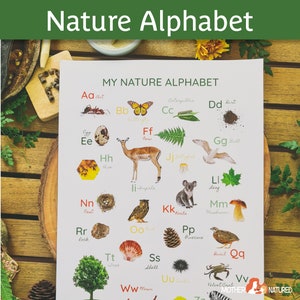 alfabeto da natureza pôster | alfabeto animal pôster | Sala de aula do alfabeto da natureza | Decoração de sala de aula do alfabeto | Montessori para imprimir | Download