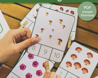 Tarjetas de conteo y clip de la naturaleza #1-20 Descarga digital imprimible / Tarjetas de conteo de la naturaleza / Tarjetas de conteo para niños