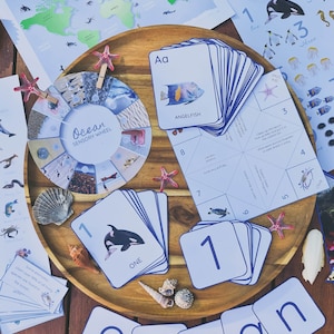 May include: A wooden tray with a blue and white ocean-themed sensory wheel, alphabet flash cards, number flash cards, and ocean-themed word cards. The tray is surrounded by seashells and starfish.