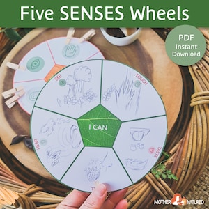 May include: A printable five senses wheel activity for children. The wheel is divided into five sections, each representing a different sense: sight, touch, smell, taste, and hearing. Each section has a simple illustration and the word for the sense. The wheel is printed on white paper with a green leaf design in the centre. The text "I CAN" is printed in the centre of the wheel.