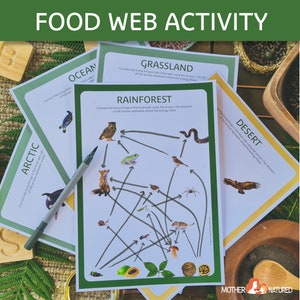 Food Chain Printables Bundle Food We Printables Bundle - Etsy