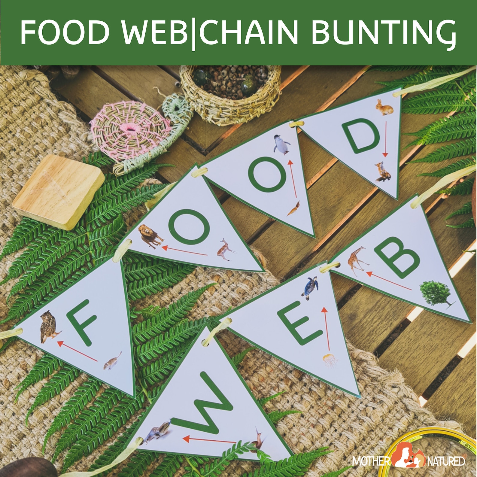 Food Chain Posters and Bunting Food Web Posters and Bunting Montessori Biology Diagrams