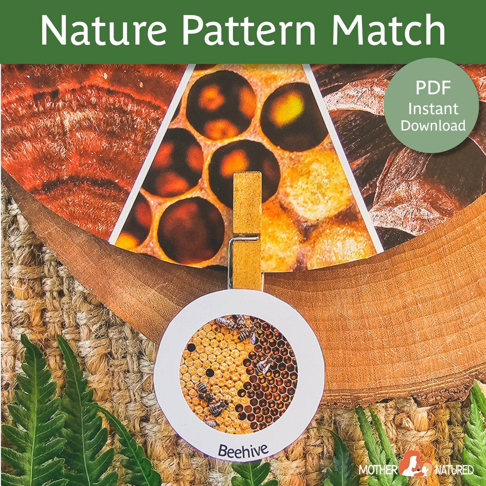 Nature Matching Activity Nature Activity Nature Printable Nature