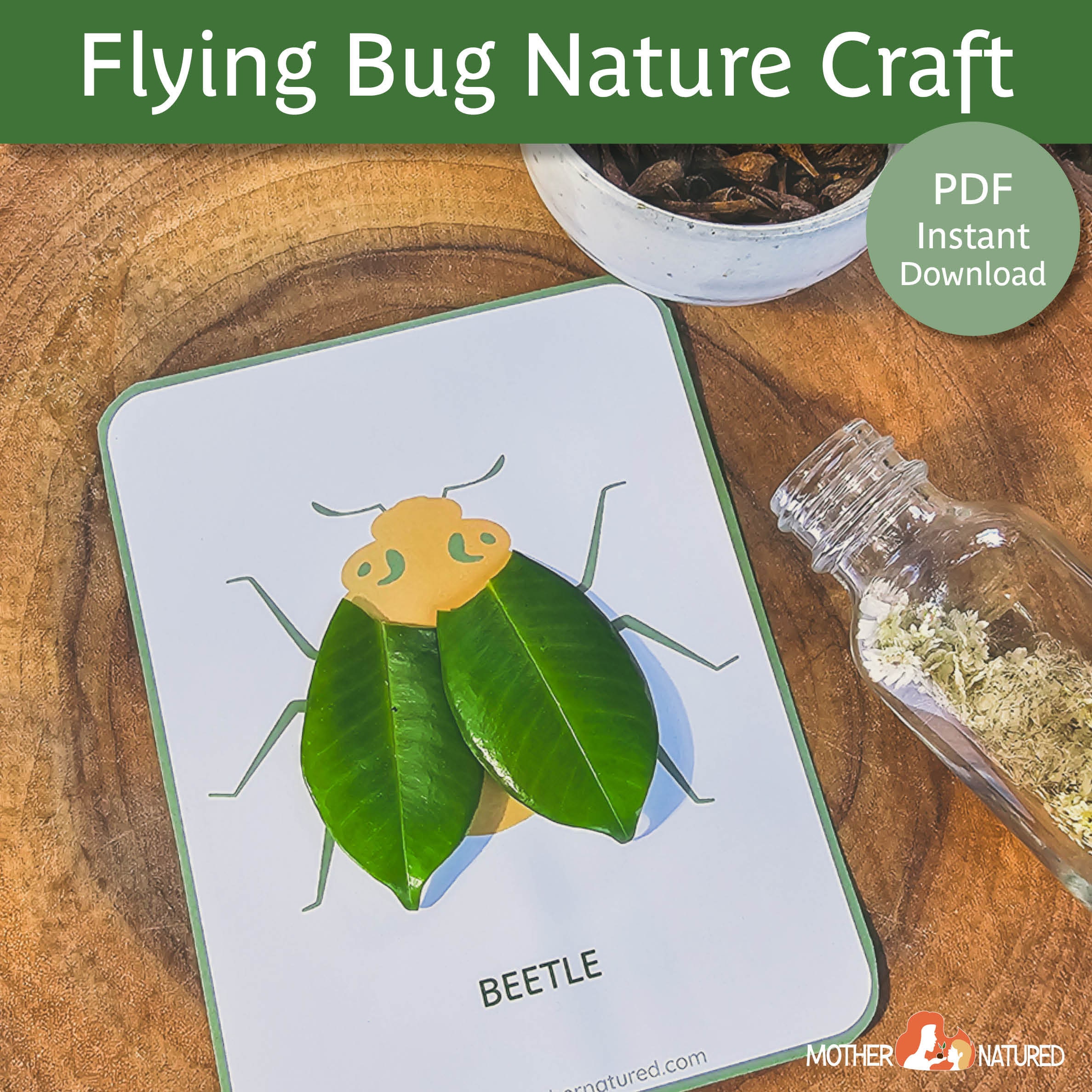 Insect Craft | Bug Nature Crafts | Bug Craft | Moth Craft | Insect Art ...
