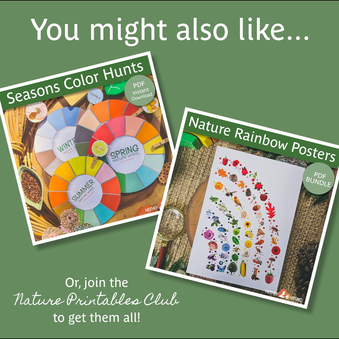 Spring Nature Activity | Spring Colour Hunt | Spring Nature Color Wheel ...