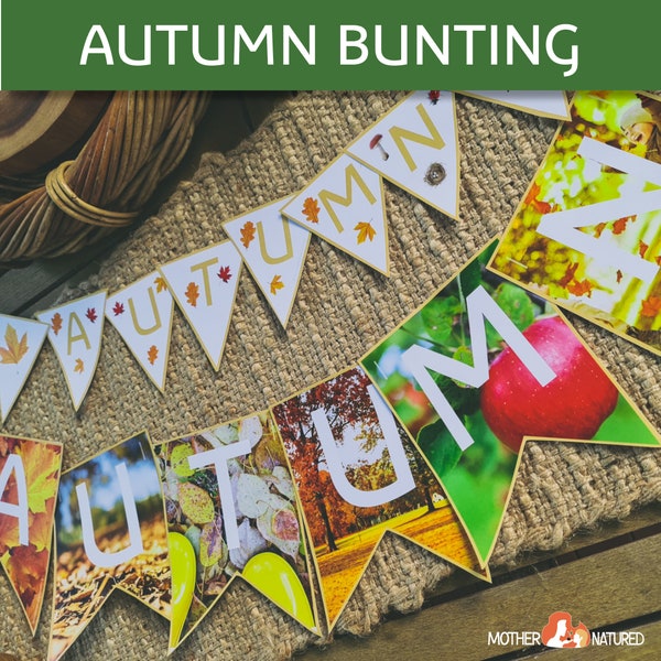 Autumn Bunting | Autumn Decor | Autumn Study Classroom Decor | Autumn Wall Hanging | Autumn Decoration | Autumn Classroom Decoration