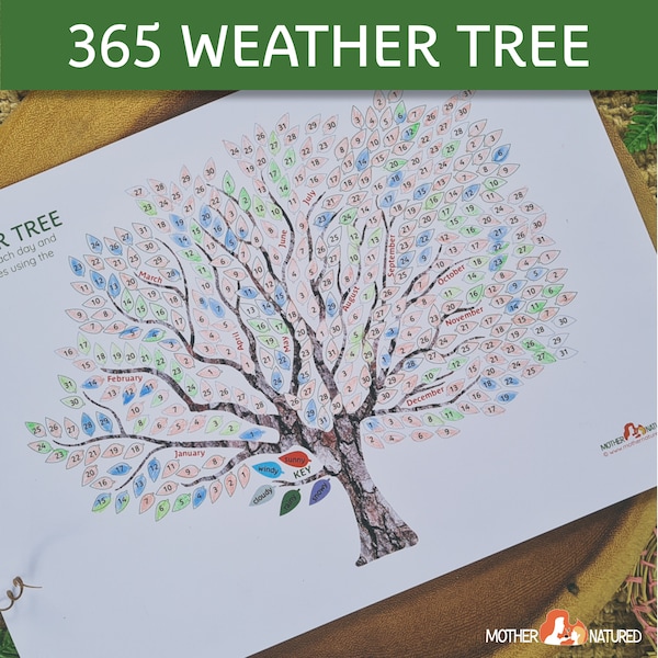 Arbre d'observation météorologique | 365 arbre météo imprimable | Météo imprimable | Étude d'observation météorologique | Étude météorologique