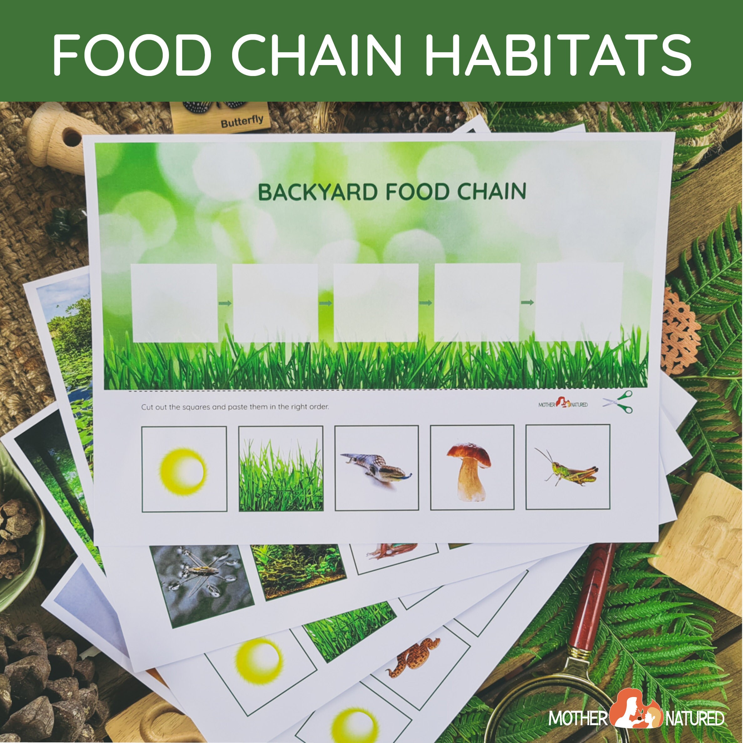 Food Chain Printables Bundle Food We Printables Bundle Biology Diagrams