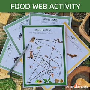 Nahrungsnetzaktivität | Nahrungsnetz Arbeitsblatt | Futternetz die Pfeile ziehen | Food Web Druckbar | Futternetz digitaler Download | Nahrungsnetz Lebensräume