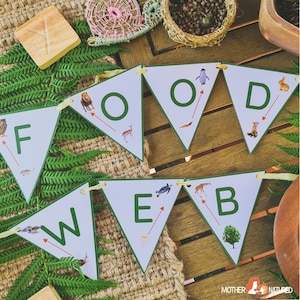 Food Chain Posters and Bunting | Food Web Posters and Bunting ...