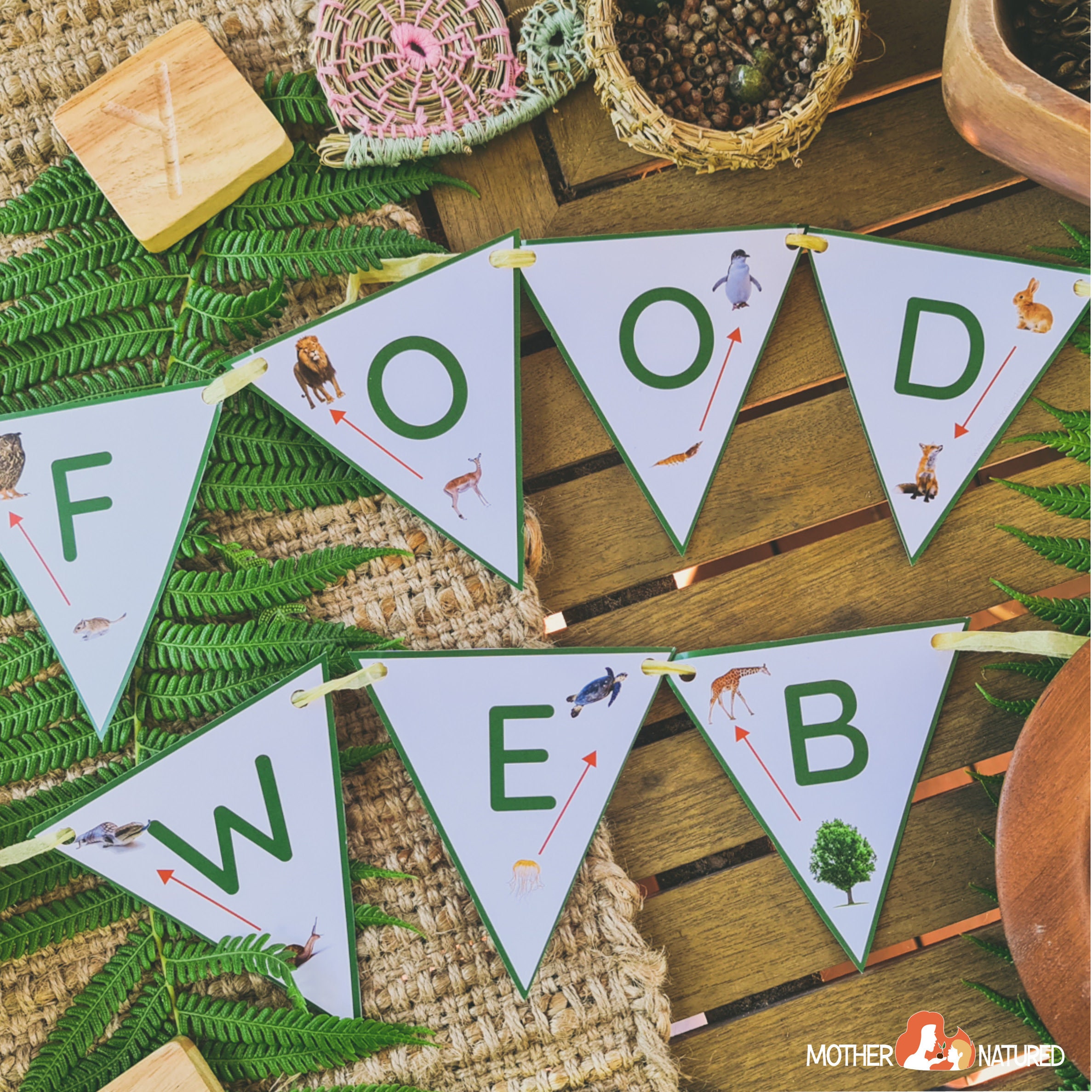 Food Chain Posters and Bunting Food Web Posters and Bunting Biology Diagrams