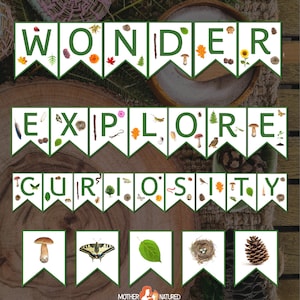May include: A green and white banner with the words "Wonder", "Explore", and "Curiosity" in large letters. Each letter is surrounded by small images of nature-themed objects, such as mushrooms, leaves, and butterflies. The banner is perfect for a nature-themed classroom or playroom.