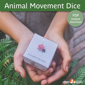 May include: A white cube with a red ladybug illustration and the text "Scurry like a lady beetle". The cube is being held in the hands of a person.