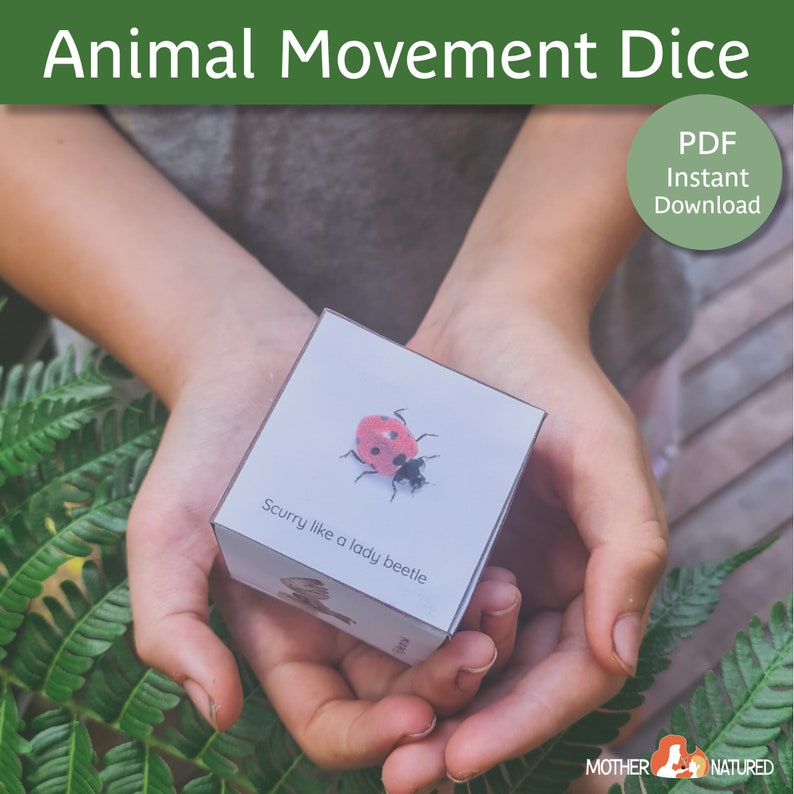 May include: A white cube with a red ladybug illustration and the text "Scurry like a lady beetle". The cube is being held in the hands of a person.
