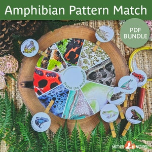 Op de afbeelding: Een printbaar amfibie&euml;n-patroon-matching-spel voor kinderen. Het spel heeft een cirkelvormig wiel met verschillende amfibie&euml;n-huidpatronen en bijpassende kaarten met afbeeldingen van kikkers en padden.