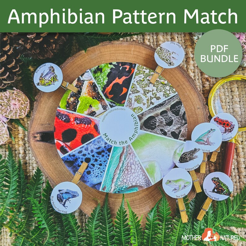 Op de afbeelding: Een printbaar amfibie&euml;n-patroon-matching-spel voor kinderen. Het spel heeft een cirkelvormig wiel met verschillende amfibie&euml;n-huidpatronen en bijpassende kaarten met afbeeldingen van kikkers en padden.