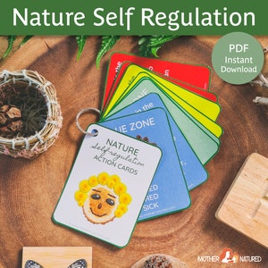 Selbstregulierungskarten | Emotionale Regulationskarten | Self-Regulation Zone Strategiekarten | Natur Ruhe Karten | Arbeitsblatt Emotionale Regulation